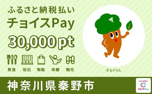 
秦野市チョイスPay 30,000pt（1pt＝1円）【会員限定のお礼の品】
