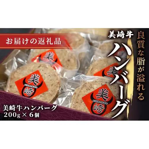 美崎牛ハンバーグ200g×6個　O-5