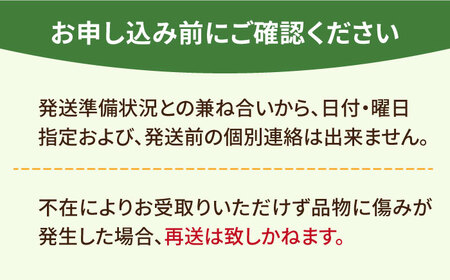 【1月〜3月発送】【全3回定期便】いちごさん 計1kg以上（約250g×4P）  TZファーム / イチゴ  いちご いちごさん イチゴセット いちごセット[FDF002]