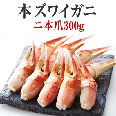 ふるさと納税 陸前高田市 【本ズワイガニ】二本爪 300g×1パック