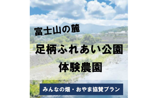 足柄ふれあい公園 体験農園 みんなの畑・おやま協賛プラン │ 農園 体験 公園 利用券 体験チケット 体験型 静岡県 小山町