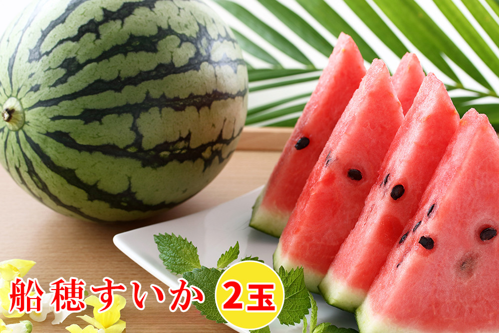 
                  印西の特産品 船穂すいか 2玉｜スイカ フルーツ 果物 ギフト 旬 [0421]
                