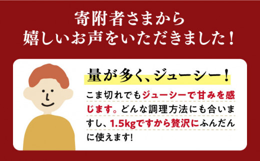 【 訳あり 】【6回定期便】 長崎うずしおポーク こま切れ 1.5kg（500g×3P） 長崎県産 西海市産 豚肉 豚 ぶた こま切れ 小分け [CAG017]＜スーパーウエスト＞