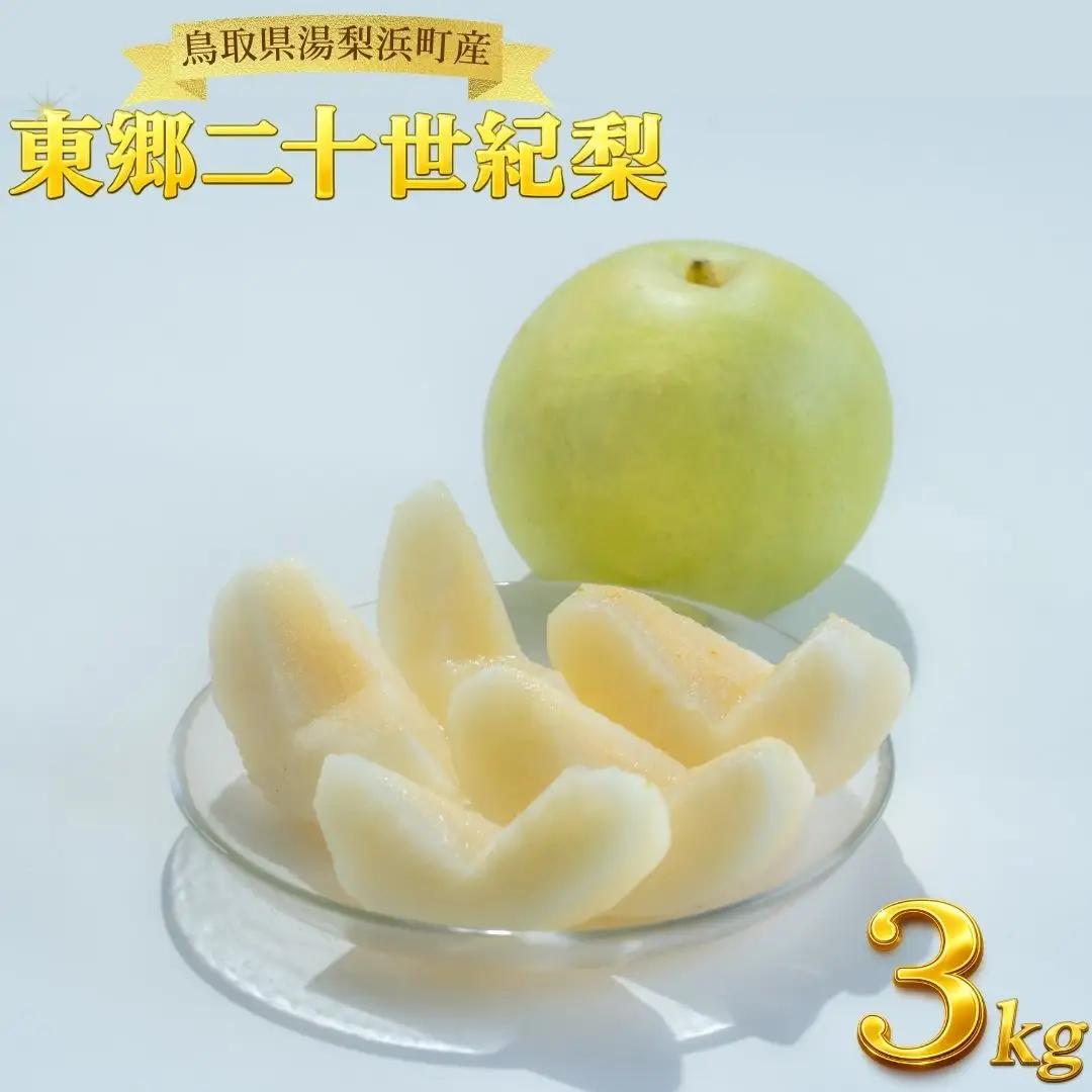梨 東郷 二十世紀 3kg 鳥取県産 | 5M