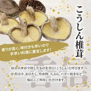 大分産乾しいたけ（どんこ、こうしん）各1袋 F07038