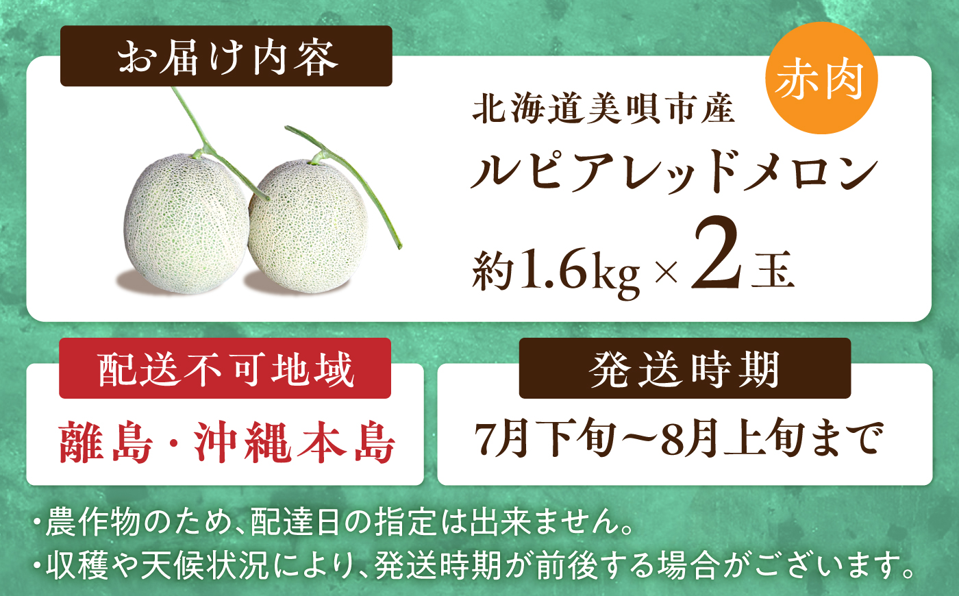 【2026年7月～順次発送】 赤肉 メロン ルピアレッド 2玉 | 赤肉メロン めろん 先行予約 北海道 メロン赤肉 | JAみねのぶ [BOAG007]