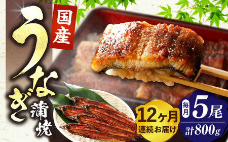 【全12回定期便】福岡県産 うなぎ 蒲焼 大5尾 合計 800 g（1尾あたり 160g以上）[VAD019] 国産 うなぎ