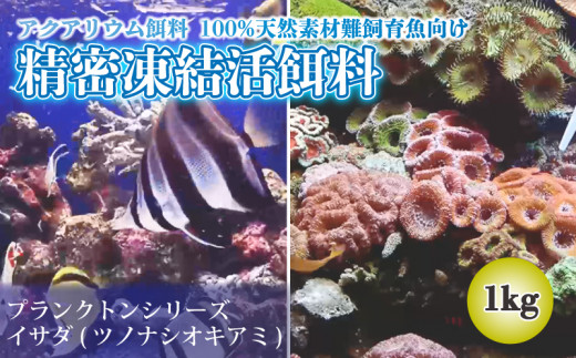 精密凍結活餌料 【業務用】イサダ(ツノナシオキアミ) 1kg（500g×2） 難飼育魚向け餌料 観賞魚 熱帯魚 