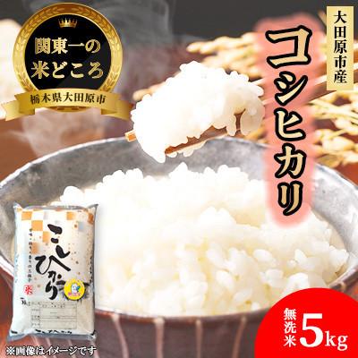 ふるさと納税 大田原市 【令和7年産 数量限定】栃木県大田原市産 藤田farmのコシヒカリ 無洗米 5kg