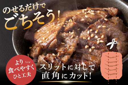 牛タン 厚切り牛タン 塩味 500g 