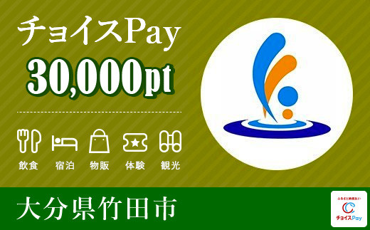 
竹田市 チョイスPay 30,000ポイント【会員限定のお礼の品】
