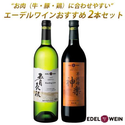 ふるさと納税 花巻市 お肉に合うおすすめワイン2本セット　五月長根リースリング・リオン(白)早池峰神楽ワイン(赤)