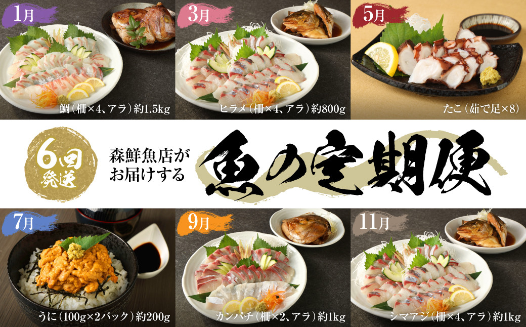 【6回発送】森鮮魚店がお届けする魚の定期便