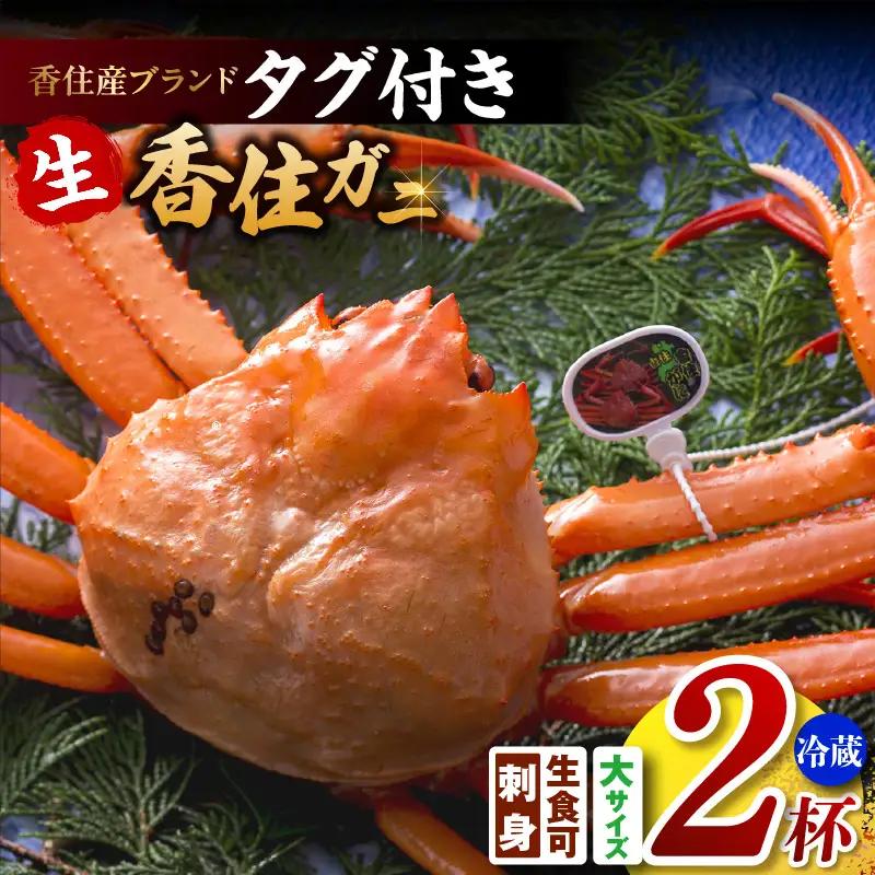 《生》 香住ガニ 大 タグ付き 約800g×2枚【令和8年11月以降発送予定】かに カニ 03-07