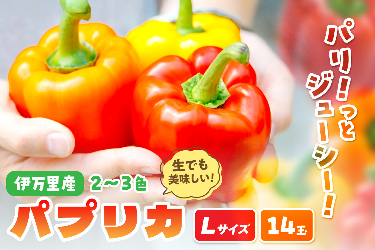 
            伊万里産肉厚ジューシーパプリカLサイズ14玉入 048-B598
          