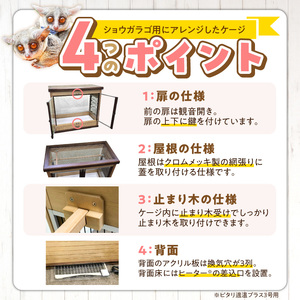 ショウガラゴ用・木製ケージ _ ショウガラゴ用 木製 ケージ ショウガラゴケージ ショウガラゴ 遊び場 家具調仕上げ シンプル おしゃれ 高級感 インテリア 受注生産 ショウガラゴハウス ペット用品 