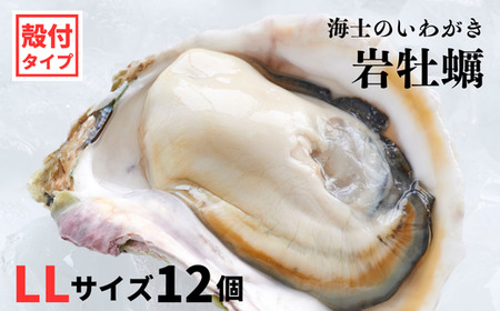 【海士のいわがき】殻付き LLサイズ 12個 岩牡蠣 生食可 新鮮クリーミー 冷凍 牡蛎 牡蠣 かき カキ 岩牡蠣 いわがき CAS CAS冷凍 父の日 母の日 バーベキュー ギフト