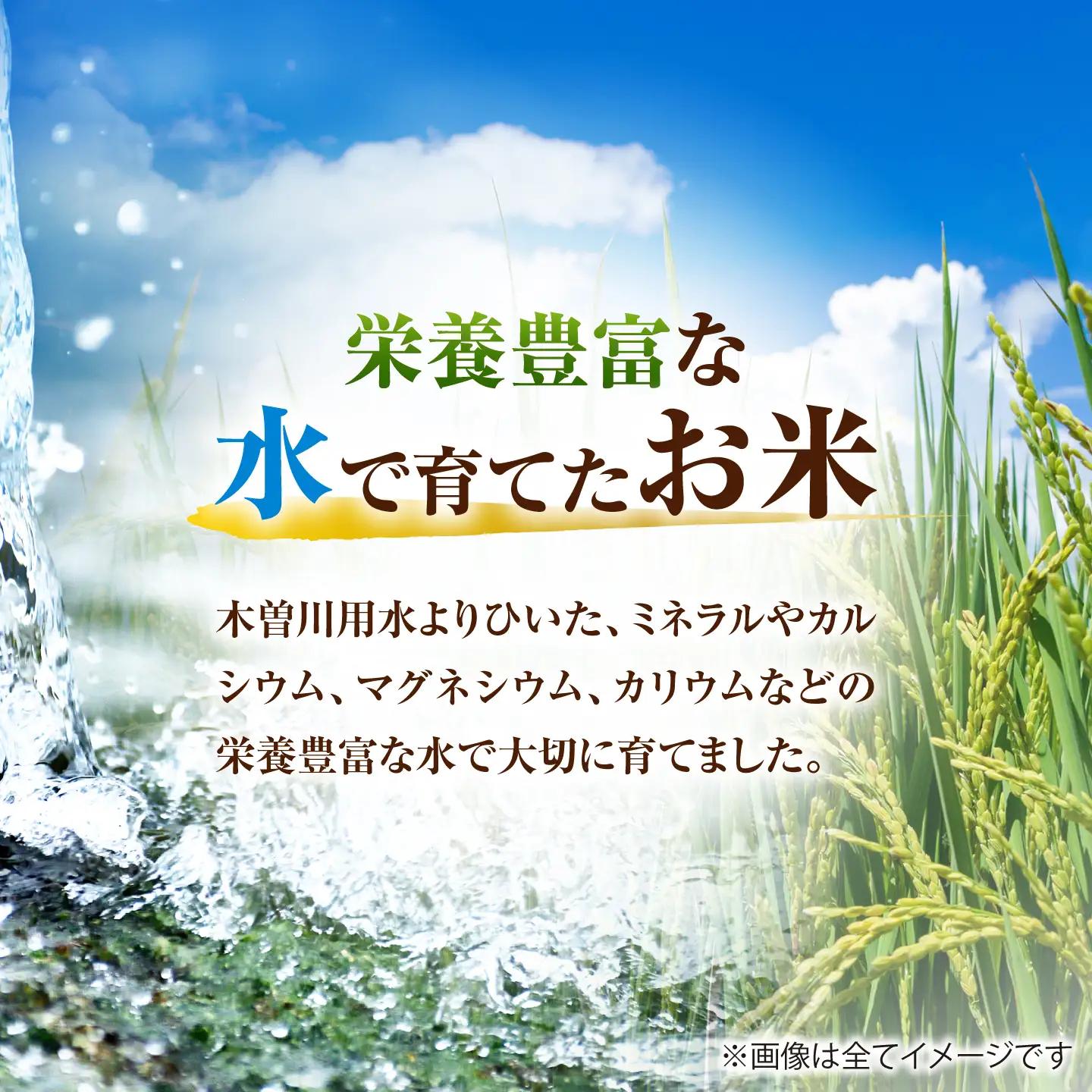 【6回定期便】あいちのかおり 白米 10kg×6か月 / 脇野コンバイン[AECP008]