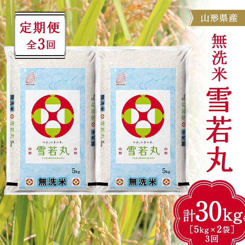【ふるさと納税】 山形県産 無洗米 雪若丸 10kg（5kg×2袋) 全3回定期便 F2Y-3912