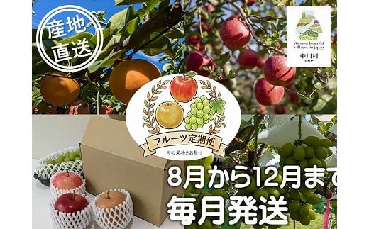 【定期便】担当者おすすめ「味覚の里なかがわ」の旬のフルーツ定期便　５回