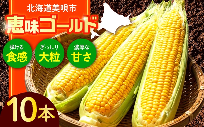 
                  【先行予約】 スイートコーン 10本  ( 恵味ゴールド )  | とうもろこし トウモロコシ スイートコーン トウキビ とうきび コーン 野菜 北海道 甘い 糖度 朝どれ 朝採れ 産地直送 旬 甘い 人気 お取り寄せ | JAみねのぶ [BOAG032]
                