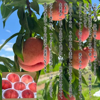 ふるさと納税 山形市 やまがた果実めぐり ―白桃と秋姫― 約3kg 秀品【令和8年産先行予約】FS25-090 |  | 02