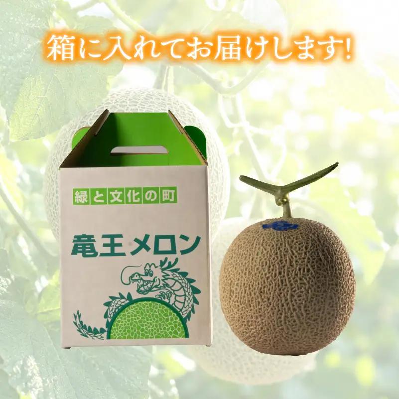 特選 メロン 青肉 4L 2玉 メロン メロン メロン メロン