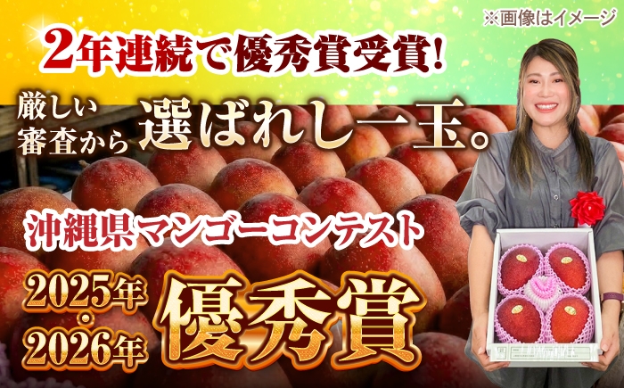 沖縄県産 完熟マンゴー 贈答用 2kg (3〜5玉) マンゴー 沖縄 果物 フルーツ ギフト まんごー 2kg Mango