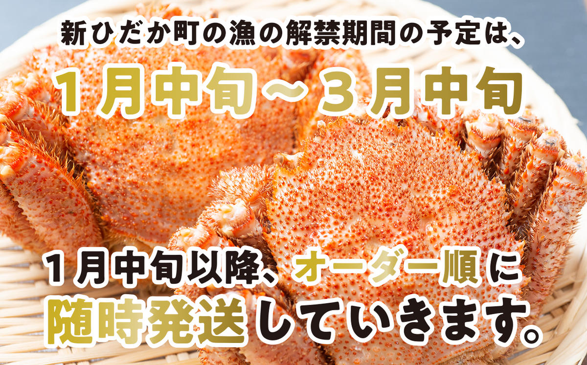 ＜2025年1月から順次発送＞ 訳あり 北海道産 浜ゆで 毛ガニ  