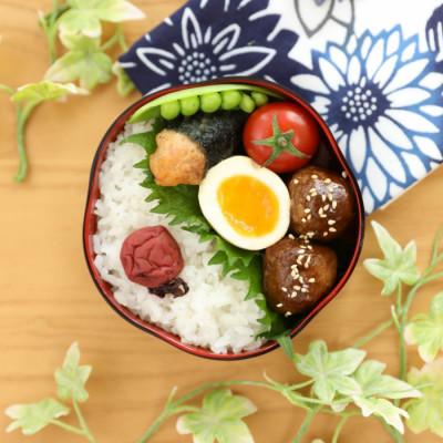 ふるさと納税 酒田市 雪若丸　5kg　精米 |  | 02