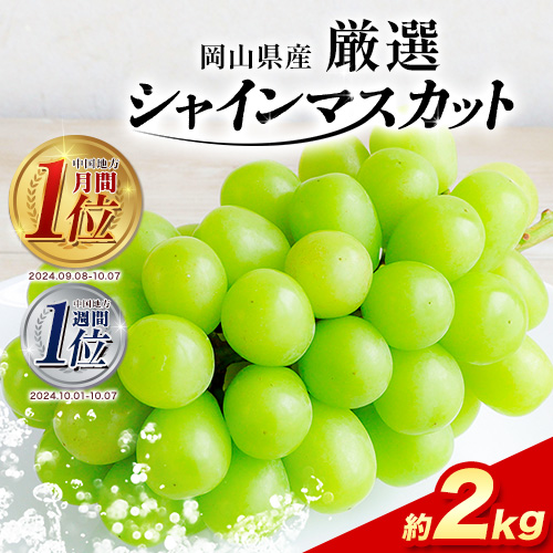 【2025年先行予約】厳選 訳あり シャインマスカット 約 2kg 3～5房《9月中旬-11月上旬頃出荷》岡山県 浅口市 シャインマスカット ぶどう フルーツ 果物 贈り物 ギフト 国産 岡山県産 送料無料 シャイン マスカット マスカットシャイン ブドウ 葡萄
