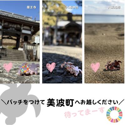 ふるさと納税 美波町 【町制20周年記念】未来へつなぐ「子ガメの帰郷」ピンバッジ 〜上品なピンクゴールド仕様〜 |  | 01