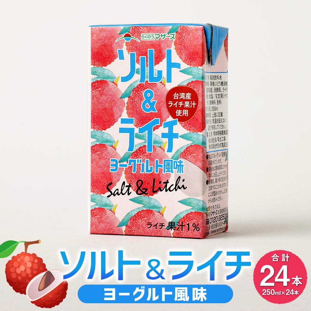 【ふるさと納税】ソルト＆ライチ ヨーグルト風味 250ml 24本 果汁果汁入 飲み物 飲料 ライチ果汁 ヨーグルト 塩 九州 熊本県 送料無料 【2025年4月上旬発送予定】
