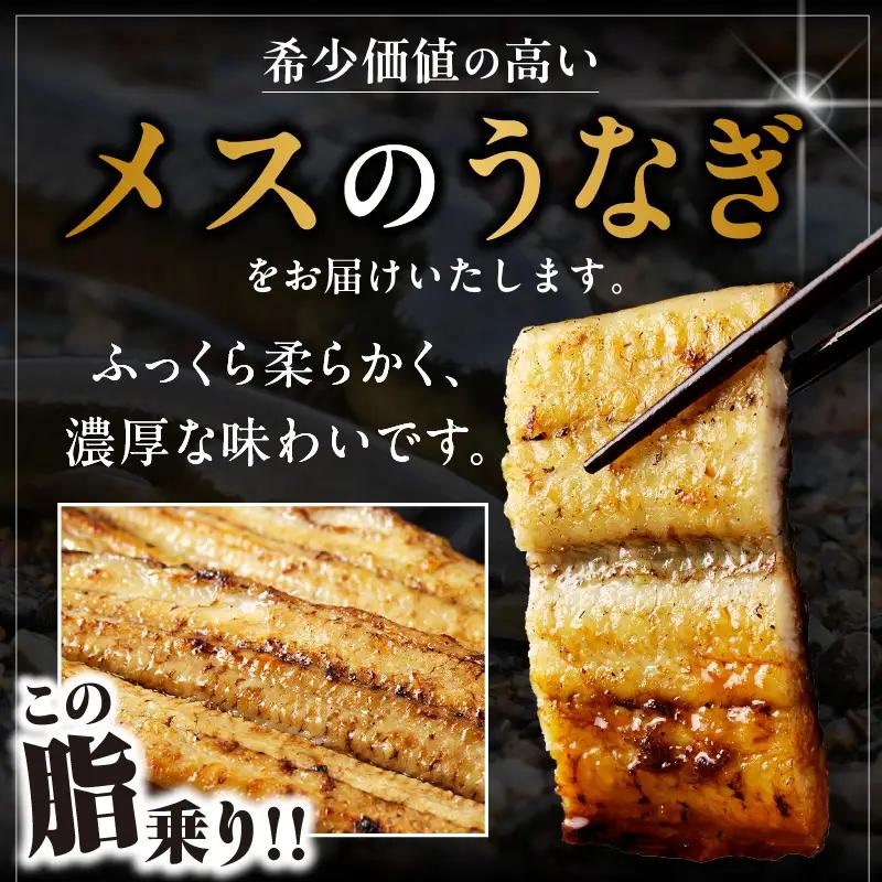 三河高浜産三代目養鰻家の白焼きうなぎ 特大3尾（525ｇ以上）_74-380