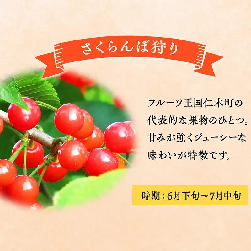 妹尾観光農園 フルーツ狩りチケット1000円 割引 チケット クーポン 利用券 フルーツ 旅行 体験 農園 北海道 仁木町 [フルーツショップ妹尾観光農園]