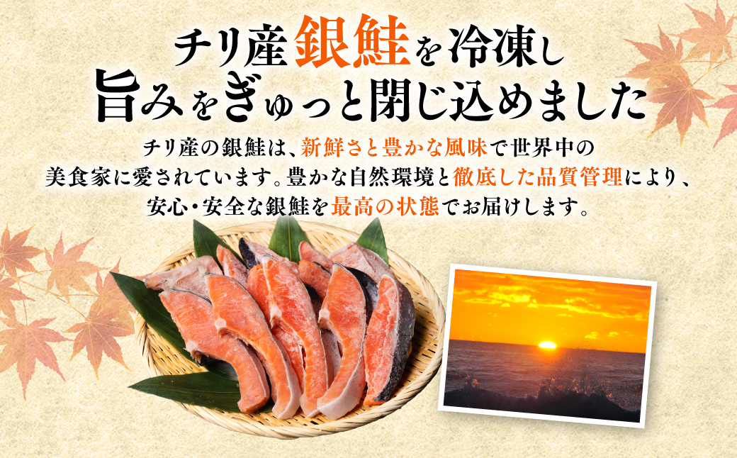 【訳あり】 銀鮭 切り身 たっぷり合計 1kg （鮭 塩鮭 サケ サーモン 甘塩 切身 切り身 大容量 人気の鮭 カマ 希少 魚 鮮魚 冷凍）