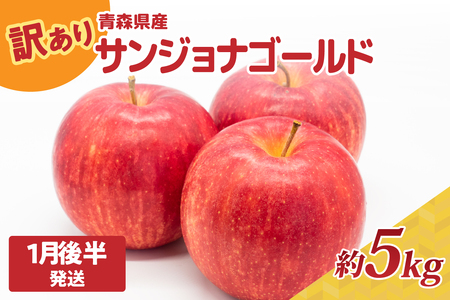 りんご 訳あり 約5kg【2025年1月後半発送】サンジョナゴールド 不揃い 青森リンゴ 酸味あり