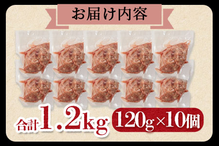 ＜宮崎県産黒豚ヒレハンバーグ120g×10個＞(120g×10個・計1.2kg)の冷凍小分けセット！国産 宮崎県産 豚肉 ポーク ヒレ肉 肉加工品 牛脂 ハンバーグ 小分け 個包装 簡易包装 冷凍 お