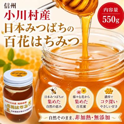 ふるさと納税 小川村 日本みつばち　百花はちみつ550g*255
