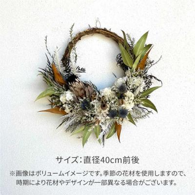 ふるさと納税 糸島市 プロテアニオベのリース(Lサイズ)糸島市/tokohana ドライフラワー アレンジ[AOC033] |  | 03