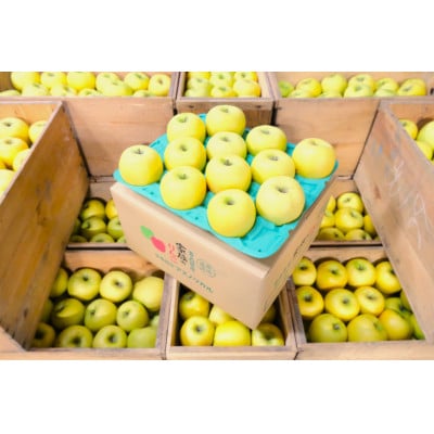 【26年5月より順次発送】平均糖度13度以上! シナノゴールド 約5kg おもてなし用  クール便【配送不可地域：離島・沖縄県】