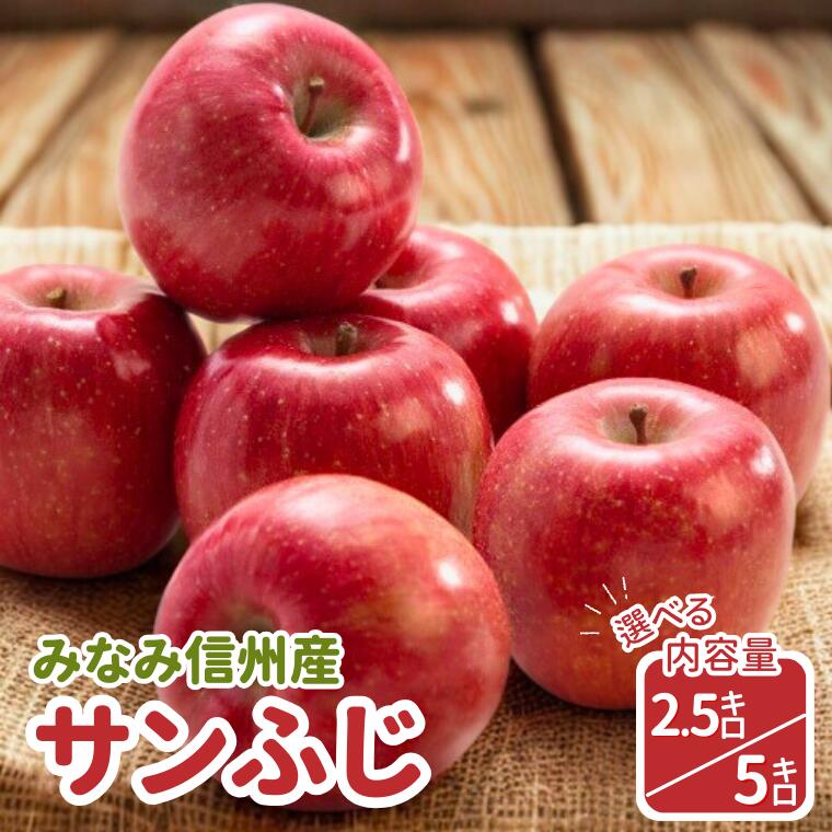 【ふるさと納税】りんご サンふじ約2.5kg(小玉) or 約5kg／11月下旬～12月上旬ごろ配送 //長野県 南信州 贈答 ギフト お歳暮 ふじ フジ さんふじ 新鮮 林檎 リンゴ サンふじ サンフジ ふじりんご 約2kg 約5kg JA34 JA15