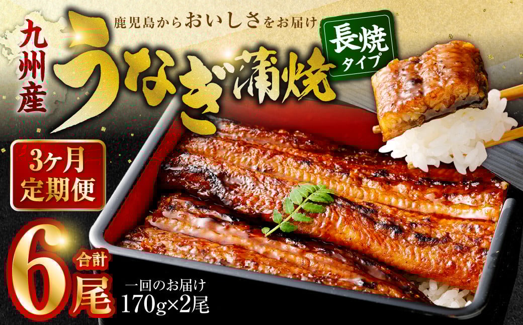 
DS-605【3カ月定期便】 九州産うなぎ蒲焼 約170g×2尾×3回　
