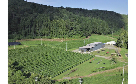 ピノグリ　PINOT GRIS 2023　750ml×1本【 白ワイン お酒 アルコール アルコール飲料 晩酌 家飲み 宅飲み 飲み会 集まり バーベキュー BBQ イベント 飲み物】