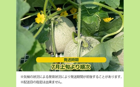 【令和6年産先行予約】 鶴姫レッドメロン (3玉～5玉) 秀品 4L～2L JA鶴岡 A46-601