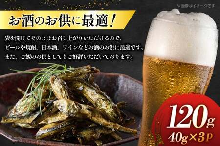 燻製 魚 おつまみ イリコ佃煮 40g 3p 総計120g セット [ひらど新鮮市場 長崎県 平戸市 hr42bgy400215]