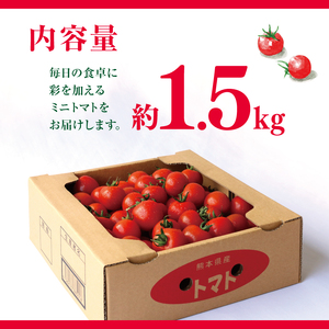 ミニトマト 生産量 日本一 玉名市 !！ ミニトマト 約 1.5kg 野菜 トマト プチトマト ｜ ﾄﾏﾄﾐﾆﾄﾏﾄﾄﾏﾄﾐﾆﾄﾏﾄﾄﾏﾄﾐﾆﾄﾏﾄﾄﾏﾄﾐﾆﾄﾏﾄﾄﾏﾄﾐﾆﾄﾏﾄﾄﾏﾄﾐﾆﾄﾏﾄﾄﾏ