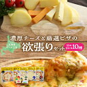 【ふるさと納税】おおともチーズ工房 食べてハッピー!! チーズとピザの欲張り 10種 セット 北海道 乳製品 加工品 食品 おすすめ おつまみ おやつ 簡単調理 詰め合わせ マルゲリータ 海鮮 カマンベール カチョカバロ パーティー BBQ ギフト 贈り物 贈答 冷凍 浜中町 送料無料