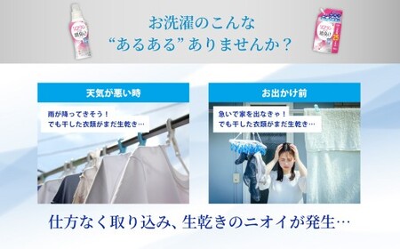 ソフラン プレミアム消臭 フローラルアロマの香り 替750ml × 12個 合計9,000ml 消臭 生活雑貨 生活用品 消臭グッズ フローラルアロマ 静電気防止効果 天然アロマオイル配合 柔軟剤 花