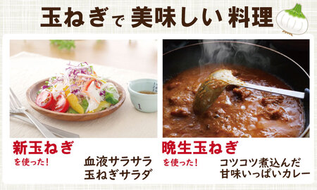 タマネギ（新玉ねぎ）なかはら農園 （5kg）サイズ2L～Mサイズ （たまねぎ、玉葱） A050-002